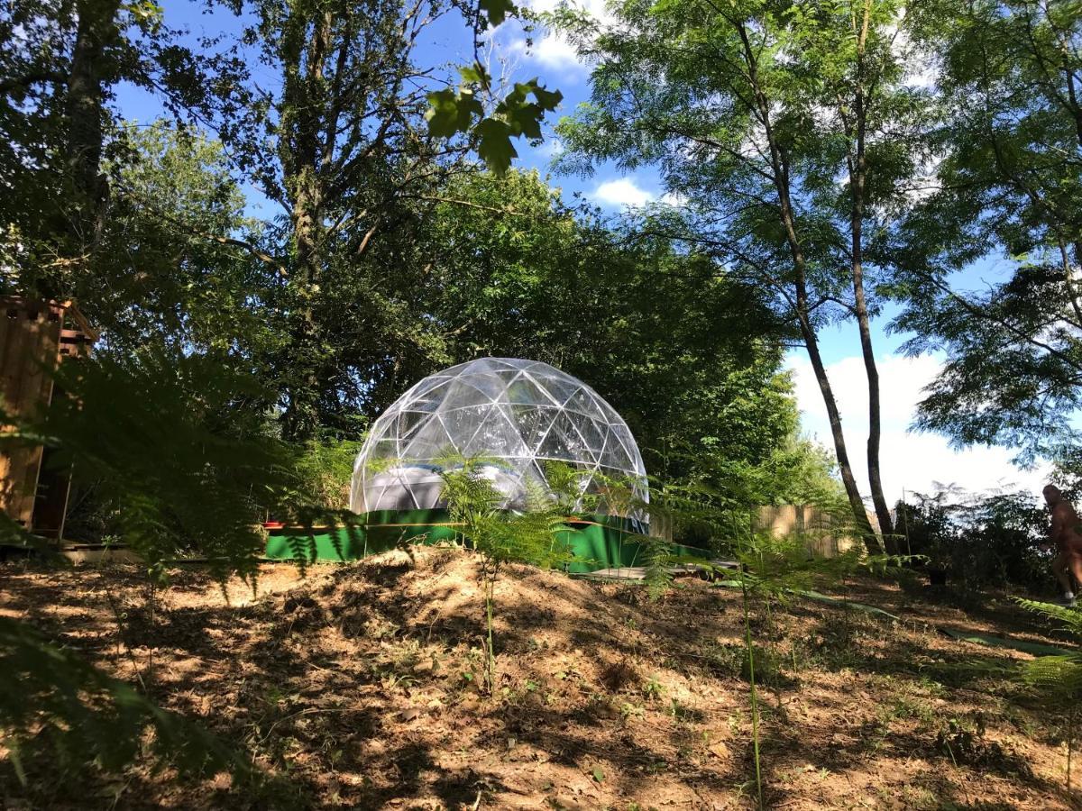 Bulle Etoilee En Nature Landaise Saint-Sever  Exteriör bild