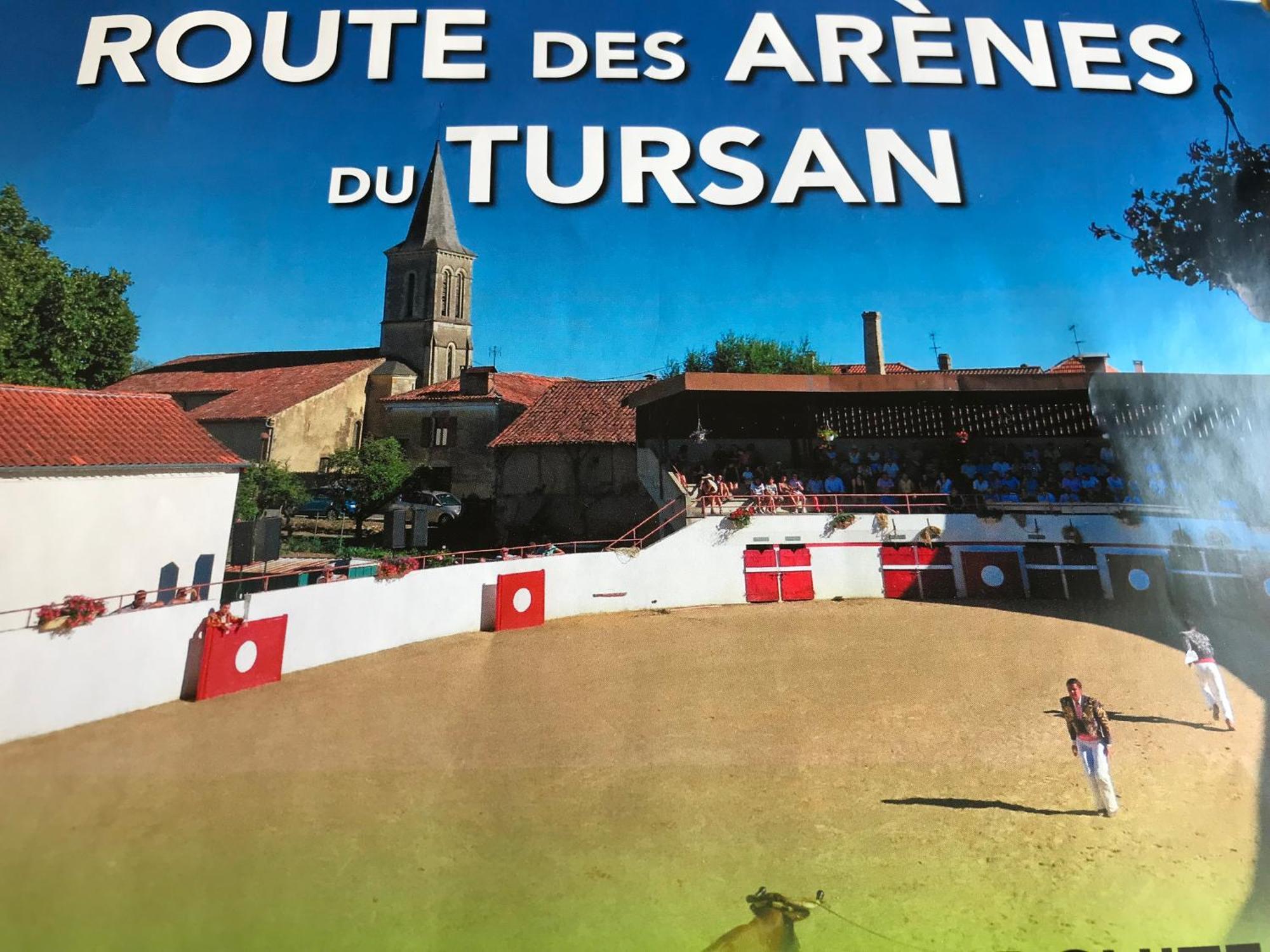 Bulle Etoilee En Nature Landaise Saint-Sever  Exteriör bild